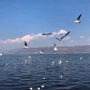 嗯啊求求你戴套人妻排卵期啊小说
